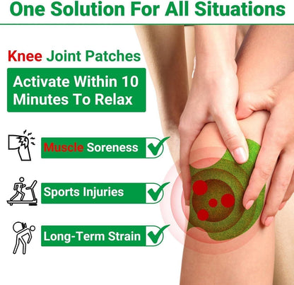 Herbal Knee Pain Relief Patches (Pack of 20)